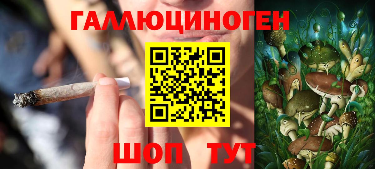 Галлюциногенные грибы Psilocybine cubensis  Вход с VPN  Благовещенск 