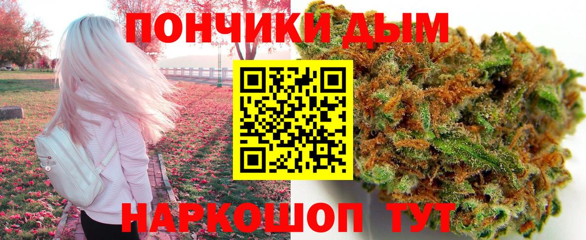 Шишки марихуана планчик  Бошки марихуана SATIVA & INDICA  Вход с VPN  Марихуана Bruce Banner  Благовещенск  Шишки марихуана индика 